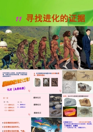 五年级科学下册 第11课《寻找进化的证据》课件3 冀教版-冀教版小学五年级下册自然科学课件
