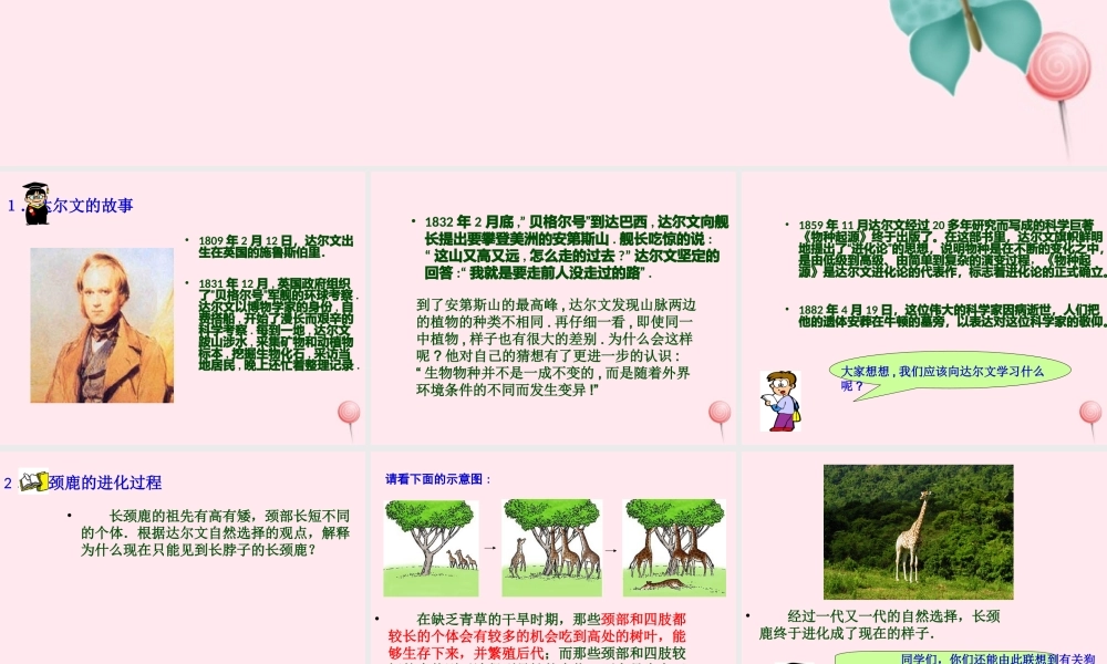 五年级科学下册 第12课《生物进化的秘密》课件1 冀教版-冀教版小学五年级下册自然科学课件