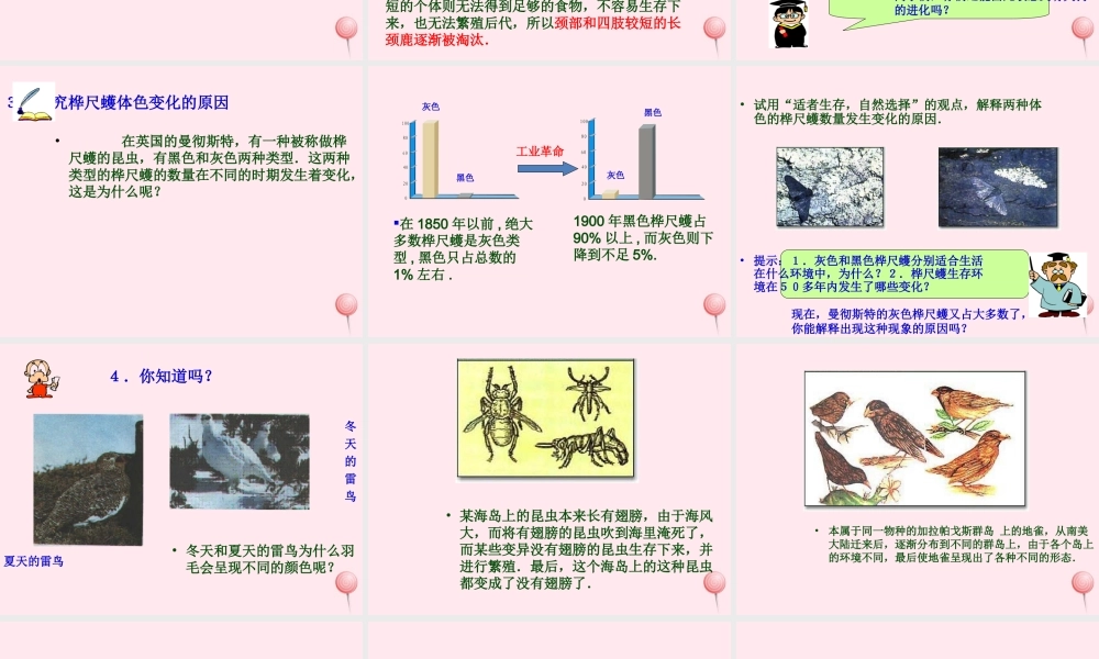 五年级科学下册 第12课《生物进化的秘密》课件1 冀教版-冀教版小学五年级下册自然科学课件