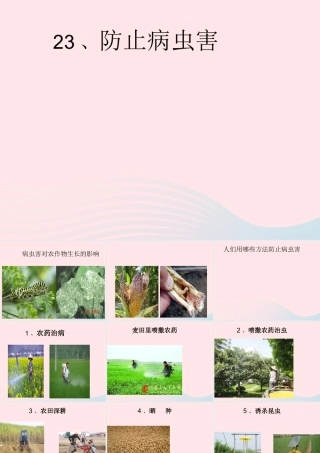 五年级科学上册 第23课《防治病虫害》课件（1） 鄂教版-鄂教版小学五年级上册自然科学课件