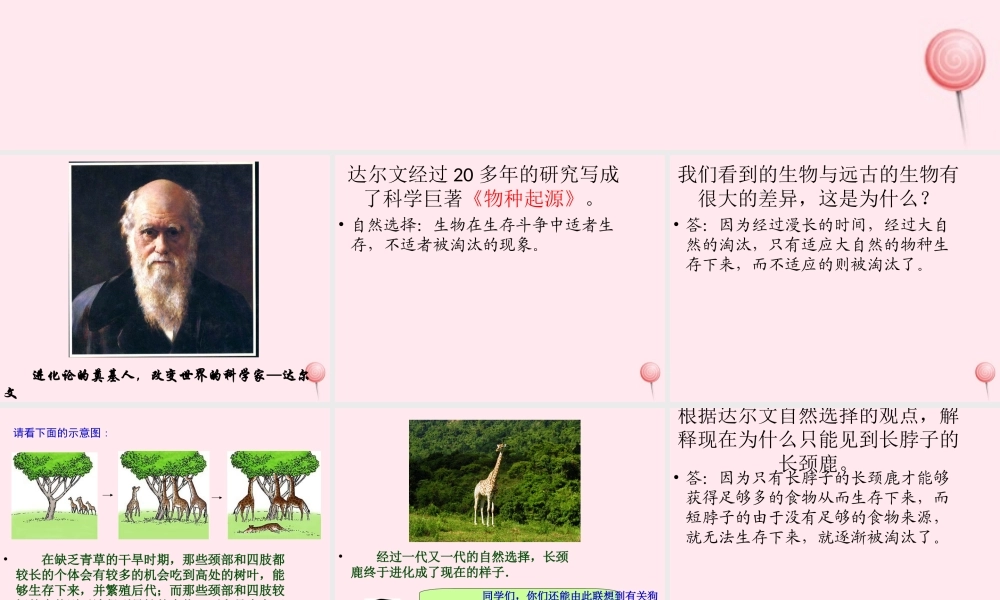 五年级科学下册 第12课《生物进化的秘密》课件3 冀教版-冀教版小学五年级下册自然科学课件