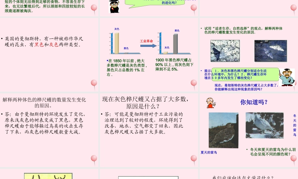 五年级科学下册 第12课《生物进化的秘密》课件3 冀教版-冀教版小学五年级下册自然科学课件
