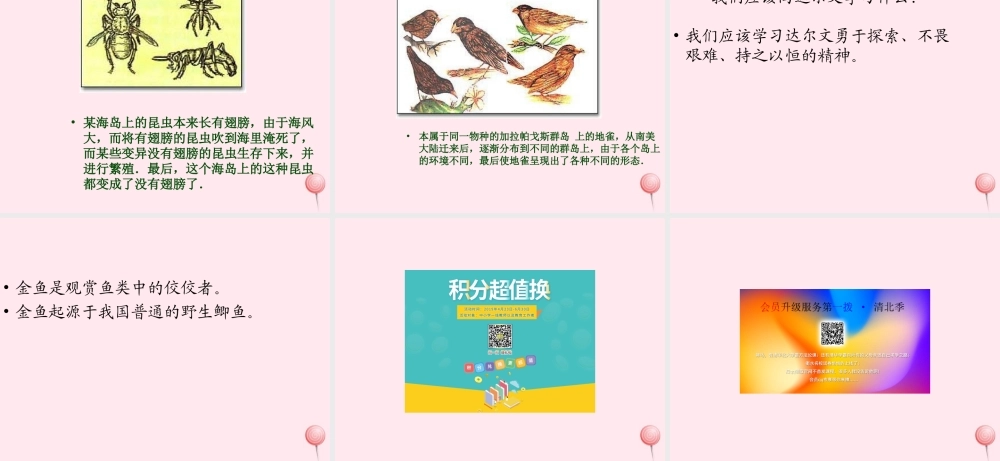 五年级科学下册 第12课《生物进化的秘密》课件3 冀教版-冀教版小学五年级下册自然科学课件