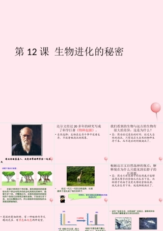 五年级科学下册 第12课《生物进化的秘密》课件3 冀教版-冀教版小学五年级下册自然科学课件