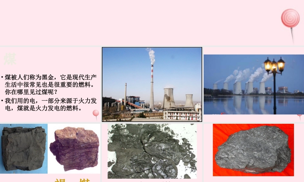 五年级科学下册 第14课《煤》课件 鄂教版-鄂教版小学五年级下册自然科学课件