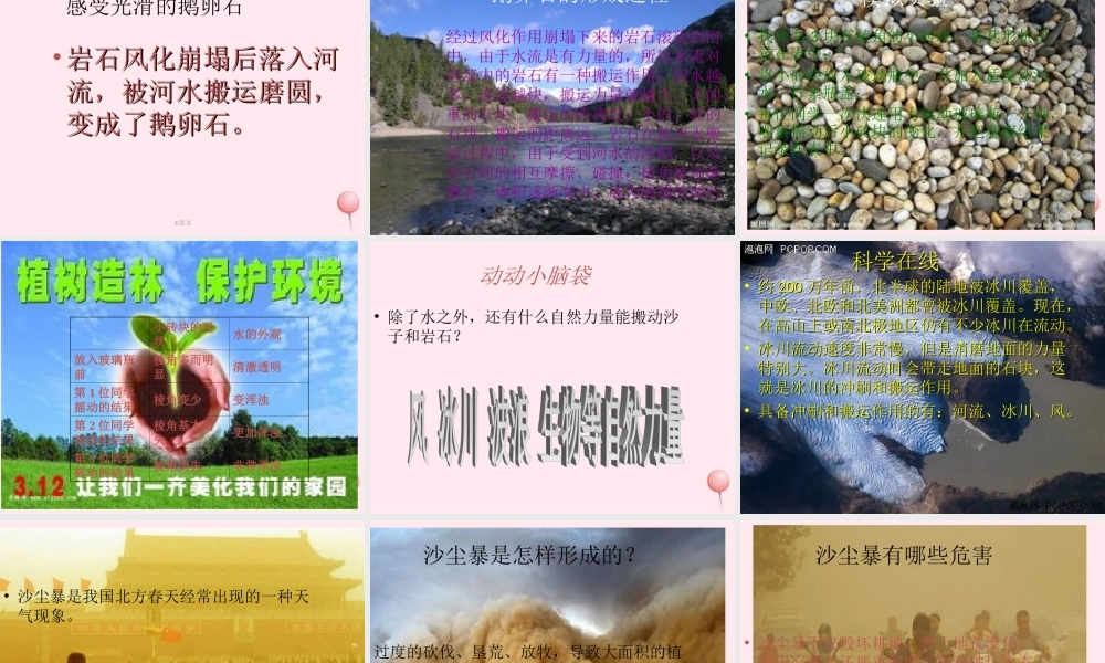 五年级科学下册 第14课《沙洲的形成》课件2 冀教版-冀教版小学五年级下册自然科学课件