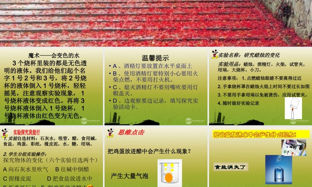五年级科学上册 蜡(1)课件 首师大版