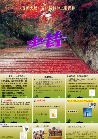 五年级科学上册 蜡(1)课件 首师大版