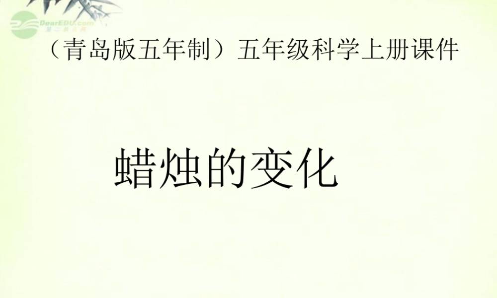 五年级科学上册 蜡烛的变化 1课件 青岛版