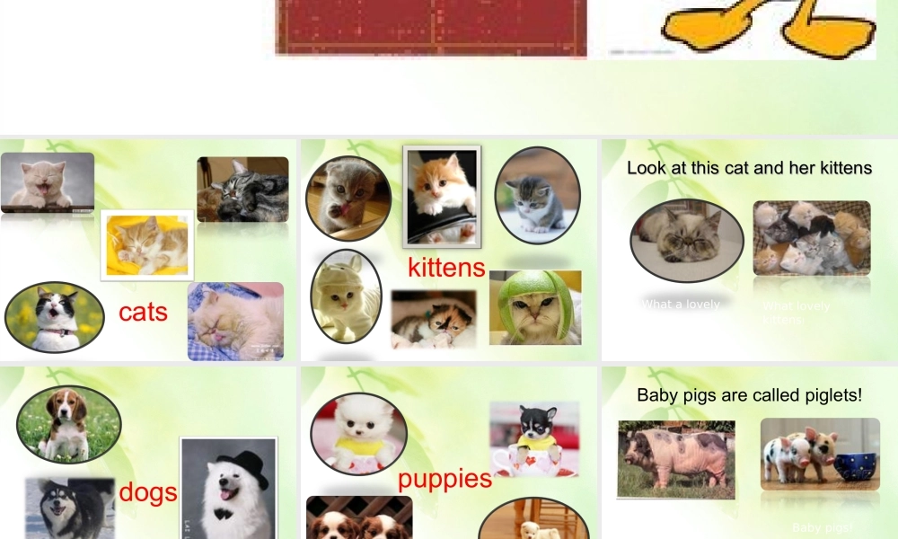 五年级英语上册 Fun time2(1)课件 人教新版