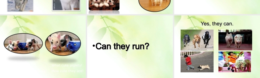 五年级英语上册 Fun time2(1)课件 人教新版