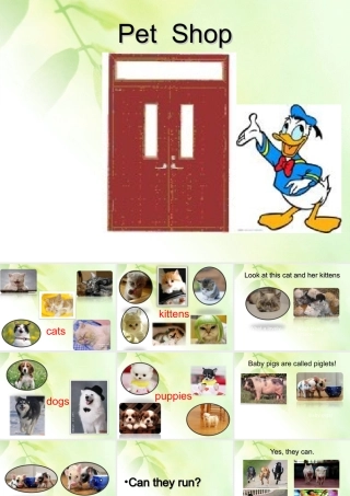 五年级英语上册 Fun time2(1)课件 人教新版