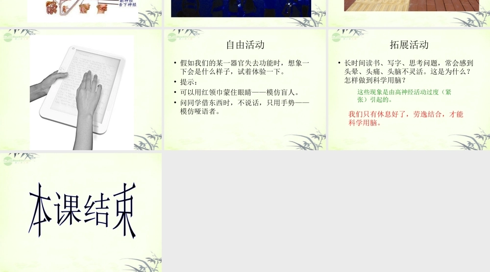 五年级科学上册 脑与神经 4课件 青岛版