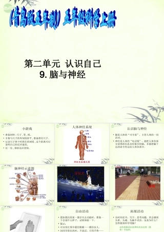 五年级科学上册 脑与神经 4课件 青岛版