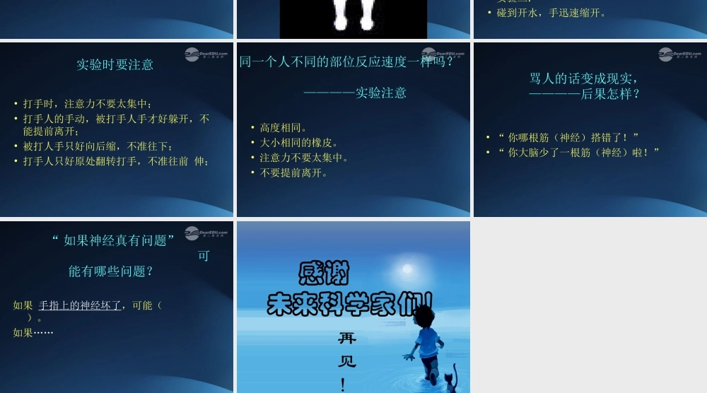五年级科学上册 脑与神经 5课件 青岛版