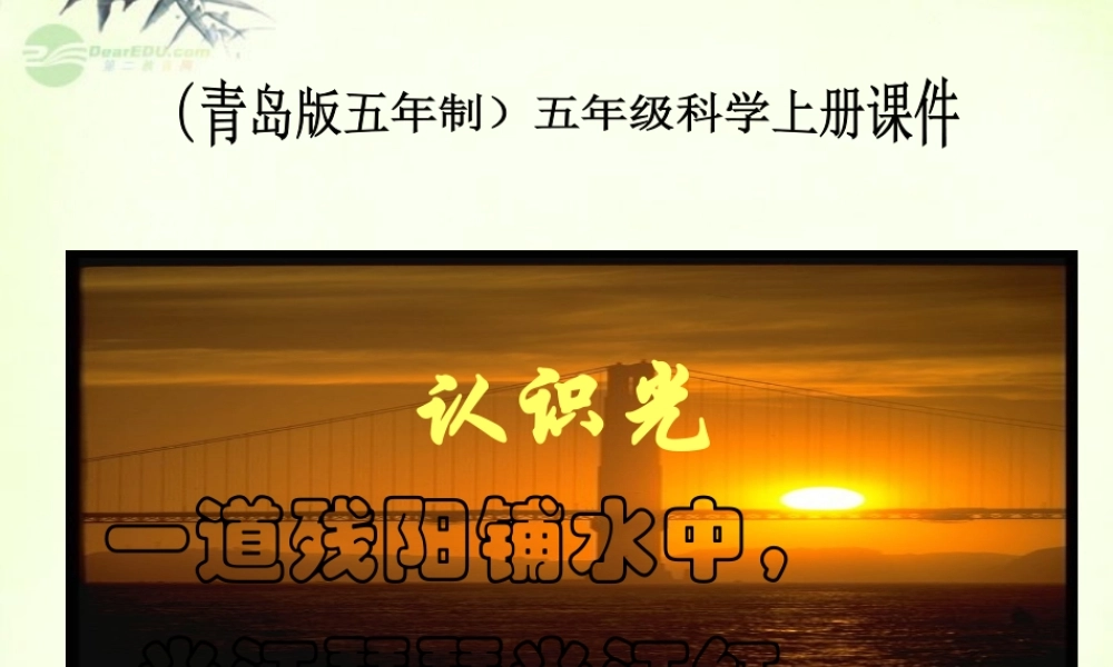 五年级科学上册 认识光 1课件 青岛版