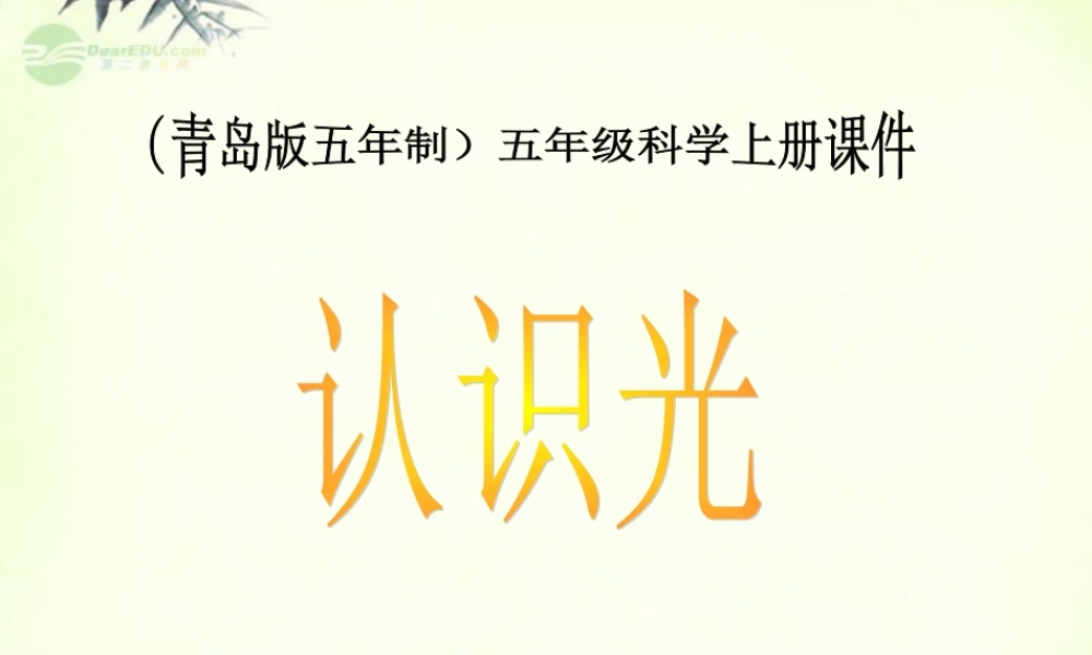 五年级科学上册 认识光 3课件 青岛版