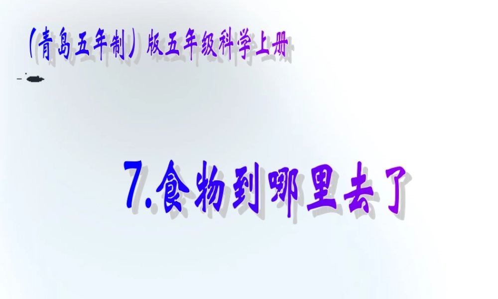 五年级科学上册 食物到哪里去了 1课件 青岛版