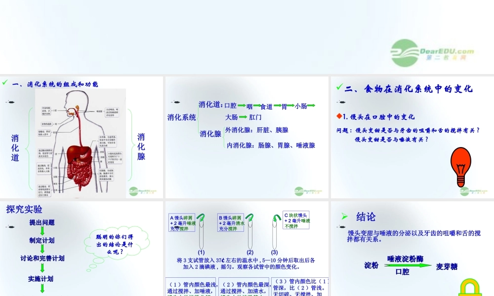 五年级科学上册 食物到哪里去了 1课件 青岛版