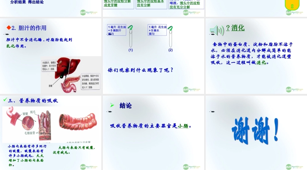 五年级科学上册 食物到哪里去了 1课件 青岛版