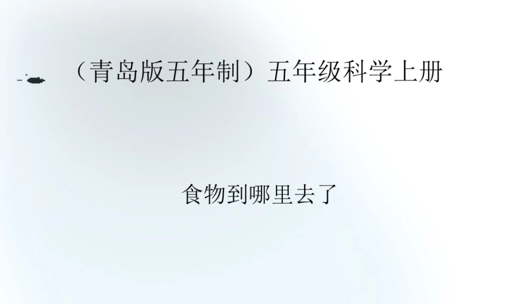 五年级科学上册 食物到那里去了 3课件 青岛版