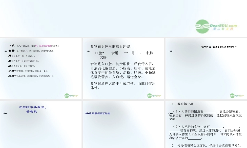 五年级科学上册 食物到那里去了 3课件 青岛版