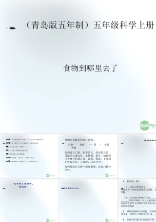 五年级科学上册 食物到那里去了 3课件 青岛版