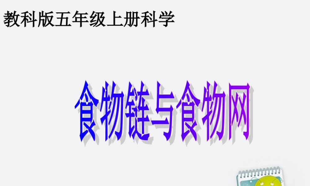 五年级科学上册 食物链和食物网 1课件 教科版