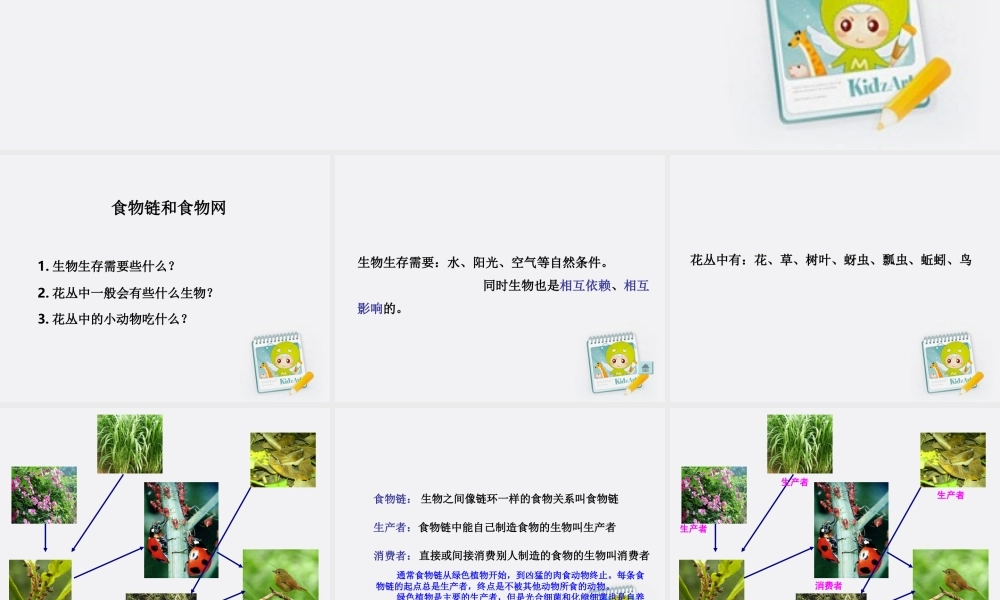 五年级科学上册 食物链和食物网 1课件 教科版