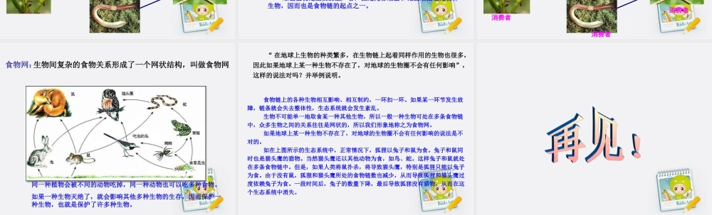 五年级科学上册 食物链和食物网 1课件 教科版