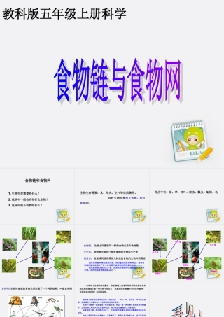 五年级科学上册 食物链和食物网 1课件 教科版