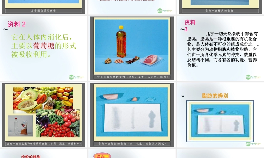 五年级科学上册 食物与营养 1课件 青岛版