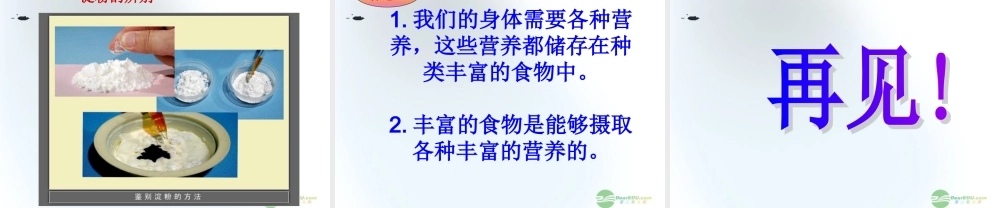 五年级科学上册 食物与营养 1课件 青岛版
