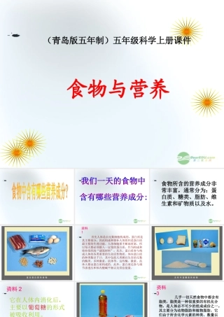 五年级科学上册 食物与营养 1课件 青岛版