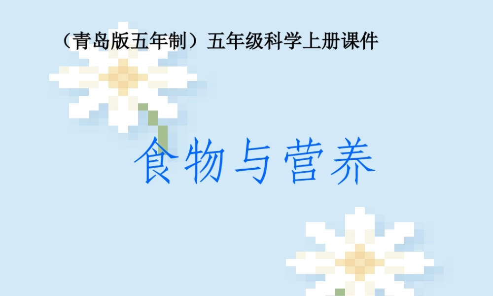 五年级科学上册 食物与营养 2课件 青岛版