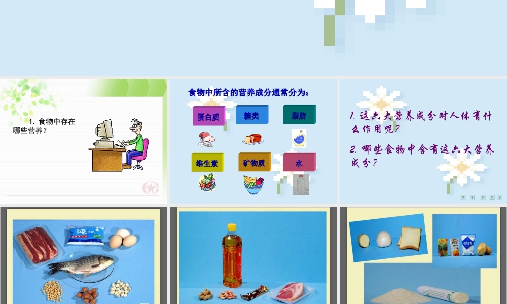 五年级科学上册 食物与营养 2课件 青岛版