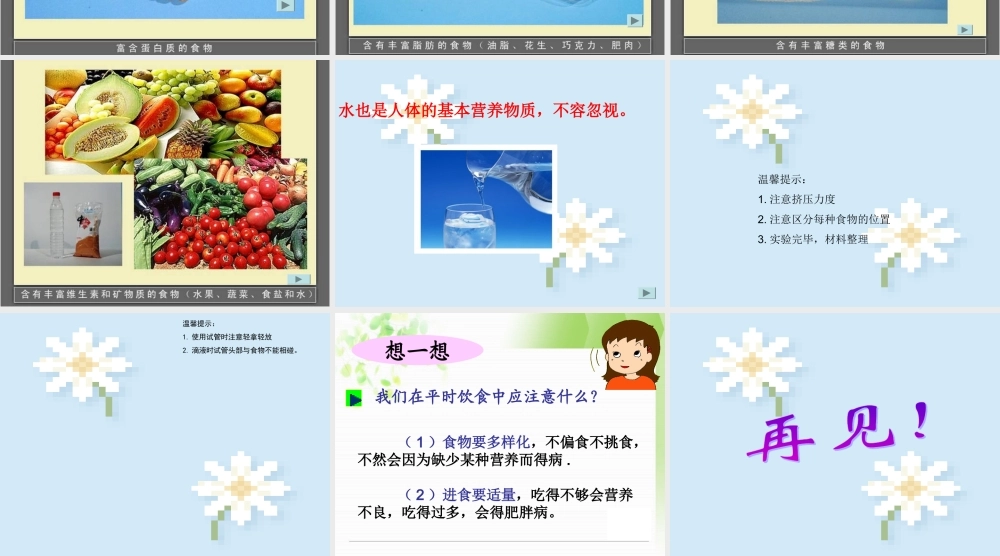 五年级科学上册 食物与营养 2课件 青岛版