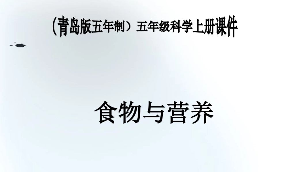 五年级科学上册 食物与营养 3课件 青岛版
