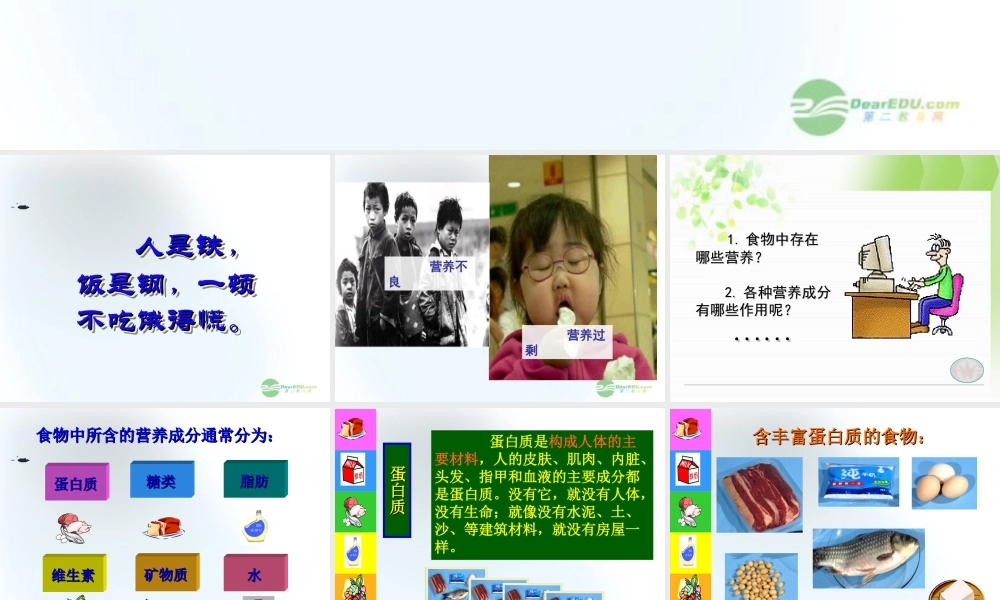 五年级科学上册 食物与营养 3课件 青岛版