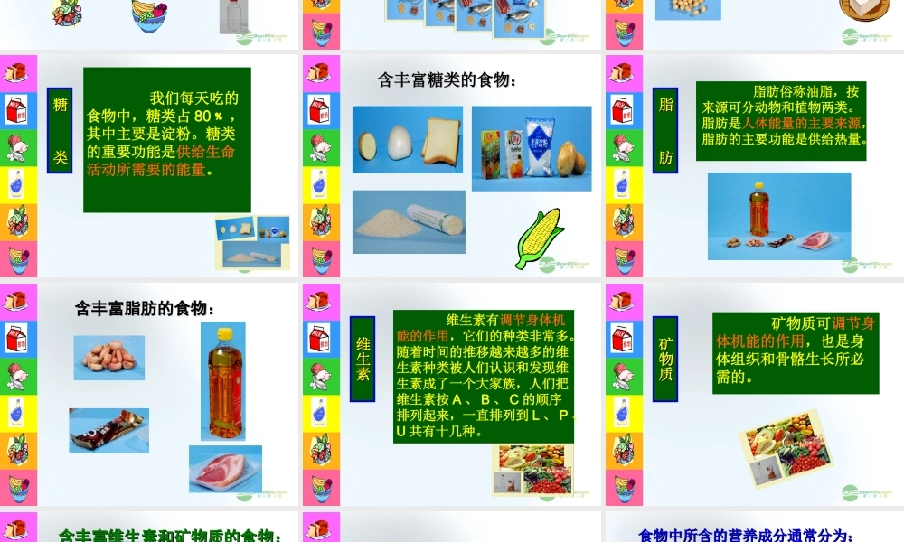 五年级科学上册 食物与营养 3课件 青岛版