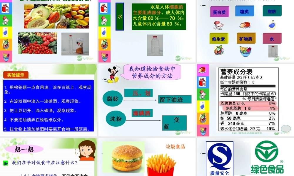 五年级科学上册 食物与营养 3课件 青岛版