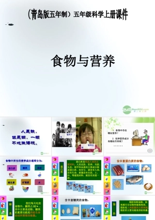 五年级科学上册 食物与营养 3课件 青岛版