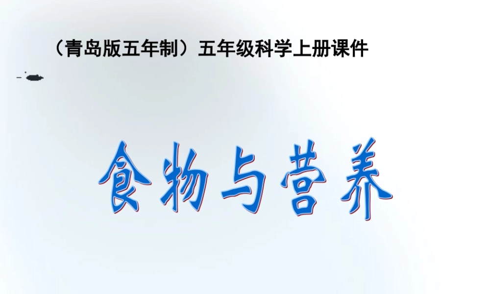 五年级科学上册 食物与营养 4课件 青岛版