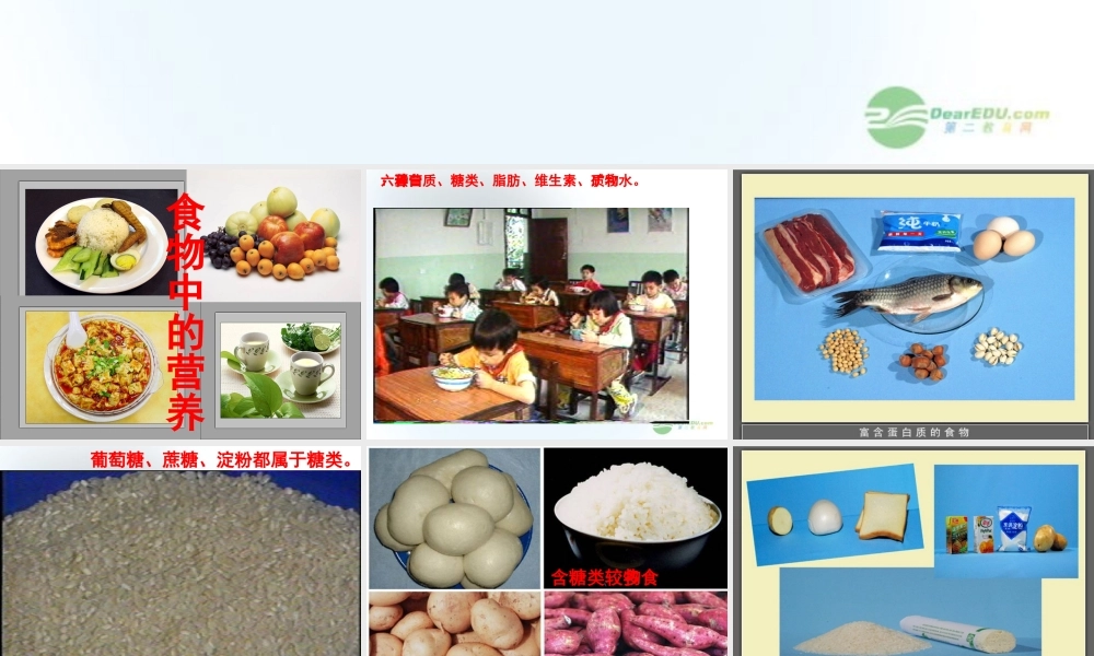 五年级科学上册 食物与营养 4课件 青岛版