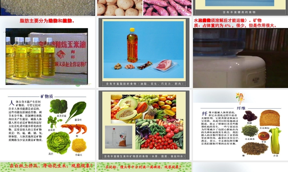 五年级科学上册 食物与营养 4课件 青岛版