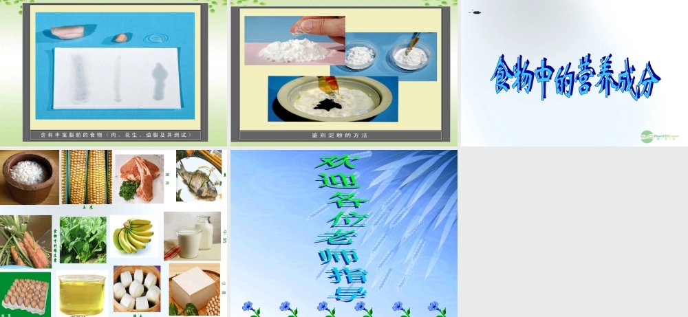 五年级科学上册 食物与营养 4课件 青岛版