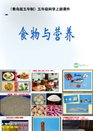五年级科学上册 食物与营养 4课件 青岛版