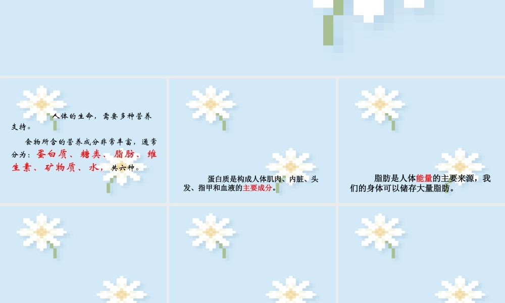 五年级科学上册 食物与营养 5课件 青岛版