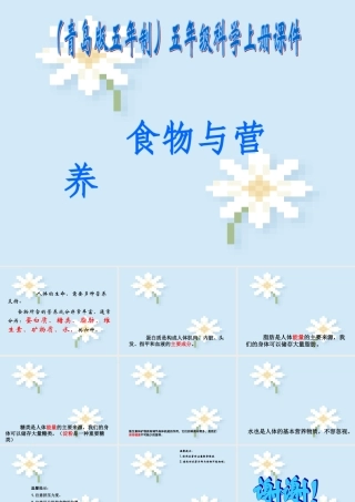 五年级科学上册 食物与营养 5课件 青岛版