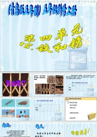 五年级科学上册 铁和锈 1课件 青岛版